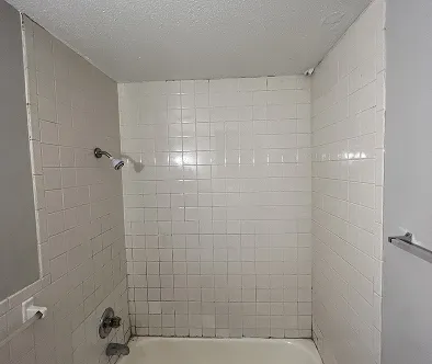 Shower stall with white tile walls and a bathtub.